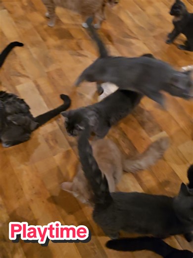 Trying to wear them out for the night😻 | Night Wear Dress