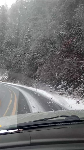 My dad woulda been so proud....I drove up the switchbacks in Oak Creek Canyon today😬....In the SNOW ❄️❄️😁 | Angela Martinez