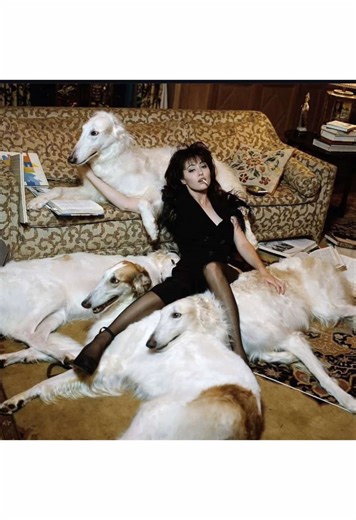 Thoughts on Chicago: Exploring Local Perspectives