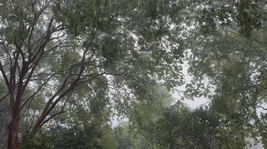 2.5K views · 102 reactions | From my back porch. Rain is coming down. Wind is blowing. Flash flood warning and severe t-storm warning Metro. Had a call from @SHAYOCONNORWDSU approaching CCC. She says it is really bad! Hard to see in wind and rain. Be safe. @wdsu #nola #lawx | Margaret Orr WDSU Chief Meteorologist Emeritus | Facebook