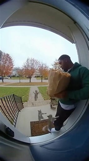 Squirrel Attack! Man Regrets Buying Nuts 😂🐿️ #funny #squirrel