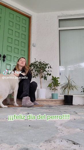 Happy Dog Day Celebration with Cute Dogs