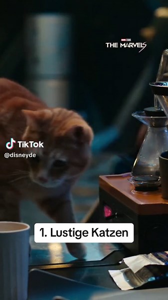 Haben wir eigentlich schon Katzen erwähnt? 🐈 #Goose #TheMarvels #Marvel #MCU #Kinotipp #disneyde
