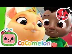 Cute Little Class Pet! | CoComelon | Sing Along | Learn about Animals