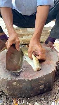 Amazing Bam Fish Cutting Skills 🐟 | Big Bam Fish Cutting | Ghazipur Market Delhi
