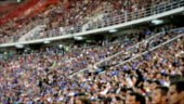 A defocused and stylized shot of sports fans cheering in a stadium.