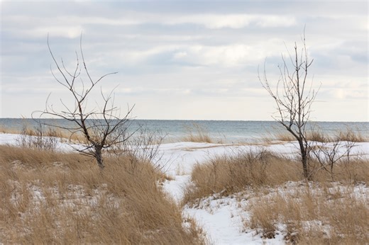 Widespread rain, unusually warm temperatures coming into Michigan