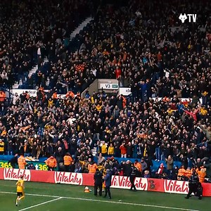 All 14 strikes from Matheus Cunha's best goalscoring season 🇧🇷 | Wolverhampton Wanderers FC