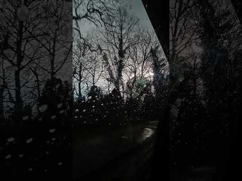 The Echo Projection _(Lyrics in description)