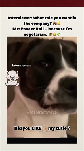 Interviewer DESTROYED My Career Goal 🤣 (Job Interview Fail) - Vegetarian Edition | AspirantWay