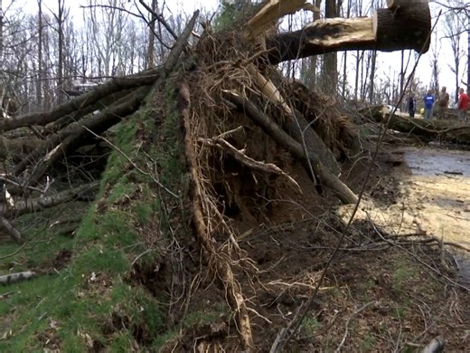 Damage reported in Parke Co. after storms Thursday