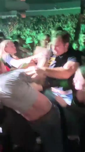 Reviving the Treatyoak: A Journey in Evansville, Indiana