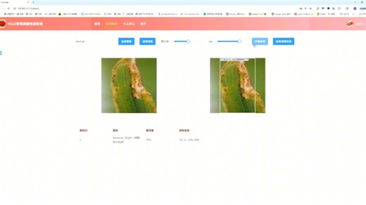 Python+django+YOLO草莓病虫害检测识别web系统
