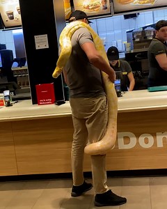 Snake orders a burger 🍔 | LADbible Australia