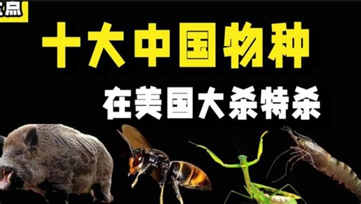 入侵美国的九大中国物种，每一个都令老美闻风丧胆，简直泰裤辣！