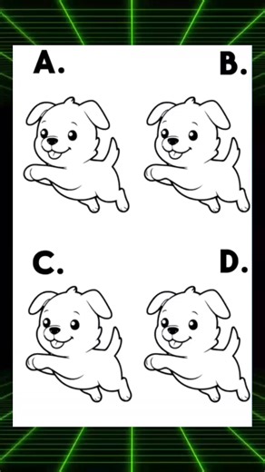 There's a different puppy hidden in plain sight! Only 1% of people can spot the odd one out in under 10 seconds. #puzzle #quiz #fun #QuizTime #fblifestyle | iPhone XR