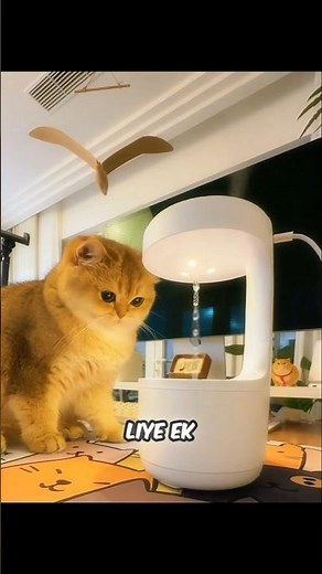 The Brilliant Trick That Made Cats Love Drinking Water