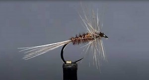 How to Tie a Blue Quill Variant | MidCurrent