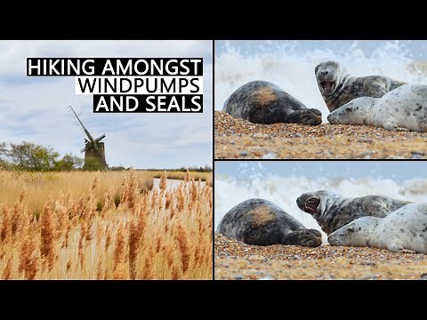 Norfolk Broads Walk - Horsey Windpump to Horsey Gap Beach