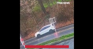 'Horrifying moment': Watch woman barely escape as massive tree falls and crushes her SUV * WorldNetDaily * by WND Staff