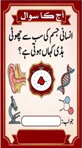Urdu gk quiz jism ki sabse choti huddi #shorts #gk #quiz