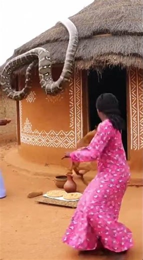 Women Eating Python on Roof Then Dog Unexpected Twist Unfolds #python #dogs #viral
