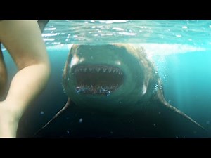 The Meg (2018) - BEACH ATTACK SCENE! - Movieclip HD