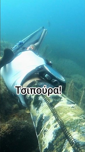Καρτέρι για Τσιπούρες στα Ρηχά #seabream #ψαροντούφεκο #spearfishinggreece