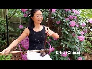 String instruments of the world