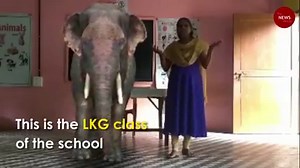 767K views · 17K reactions | Elephants, cows in class: Kerala school uses augmented reality in online lessons | TheNewsMinute | Facebook
