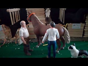 [conseils] Comment avoir un centre équestre réaliste !