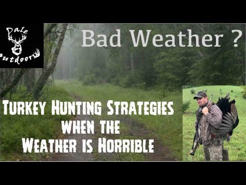 Bad Weather? TURKEY HUNTING Strategies When the Weather is Horrible