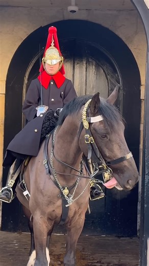 1.2K views · 11 reactions | Bit Trouble The Regal Horse's Dilemma with Tight Tack! #Shorts | Carpentur | Facebook