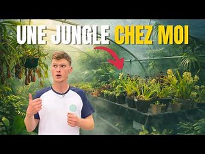 Ma Serre est devenue une vraie JUNGLE Carnivore 🌿 (Greenhouse Tour)