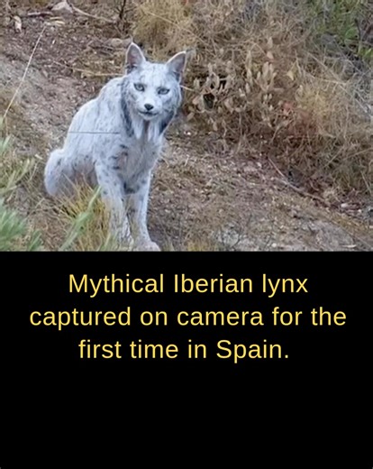 Houston Cook on Reels