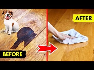 Pet Urine Stains on Wood Floors? Here’s the RIGHT Way to Remove Them