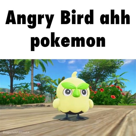bro thinks he's angry bird 🐦💀