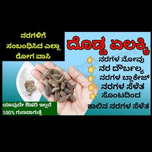 190K views · 1.4K reactions | ನರಗಳ ಬಲಹೀನತೆ ನರಗಳಲ್ಲಿ ನೋವು ಸೆಳೆತ ವಿಕ್ನೆಸ್ ನರಗಳಲ್ಲಿ ಬ್ಲಾಕೇಜ್, ಕೈಕಾಲು ನಡುಕ ನಿಶಕ್ತಿ Wonderful drink to overcome nerve weakness | Geetha's ಸಂಸಾರ ಸಂತೆ | Facebook