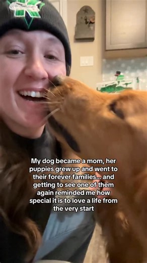 I got to see one of our puppies today for the first time since they went to their forever homes. What an amazing experience! I have no words for the love and joy I feel. All I ever wanted for them was to be in loving homes and see him so loved with such an amazing family that were so kind to have me over to see him. My heart is so full. I am so grateful for them and to know the incredible life he has. I’ll always love each of them and they have such a special place in my heart. Your daily dose o