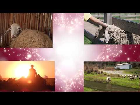 The Teaching of Tithes (Part #2)