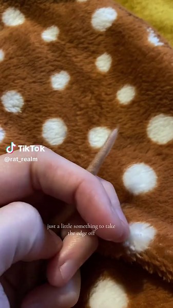 rat_realm on TikTok