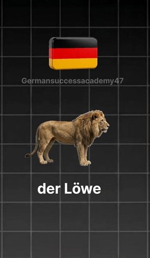 German Animal Names You Must Know | A1 German Vocabulary
