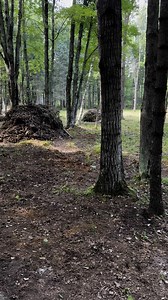 2.4K views · 47 reactions | 7/31/25 - Nature Walk and brush piles are ready! Mission accomplished! | D&R Processing - Wild game processing | Facebook