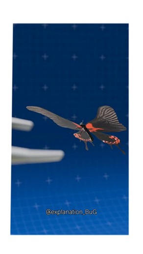 @explaination_bug | Butterfly needles (winged infusion sets) are, on average, very thin, ranging from 18 to 27 gauge (G), with 21G, 23G, and 25G being the most... | Instagram