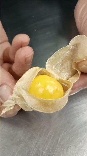 食用鬼灯 ほおずき 精進料理を作ってみる会、来月は四月一日１８時より！