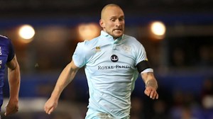 Watch: Hamburg's Toni Leistner accosts opposing supporter after loss