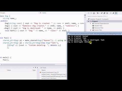 C++ 11 Library: Shared Pointer - II