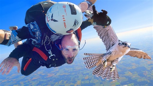 Facing Off with the Fastest Animal on Earth