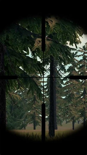 Hunting down a COYOTE in HUNTING SEASON!