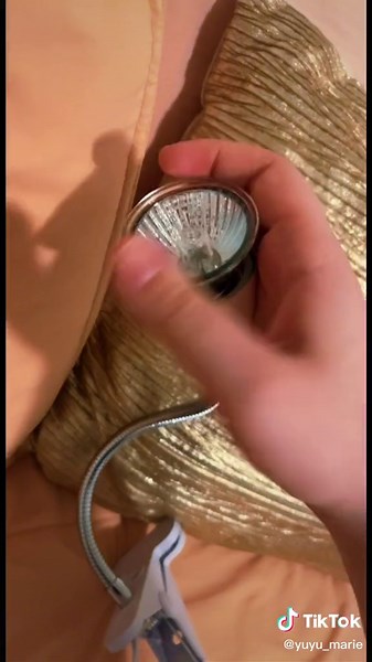 -Baby LUNA in her new home 🐢🥰 #turtletank #babyturtletank #babyturtle #yellowbellyturtle #fyp #myturtlestore #tortugabebe